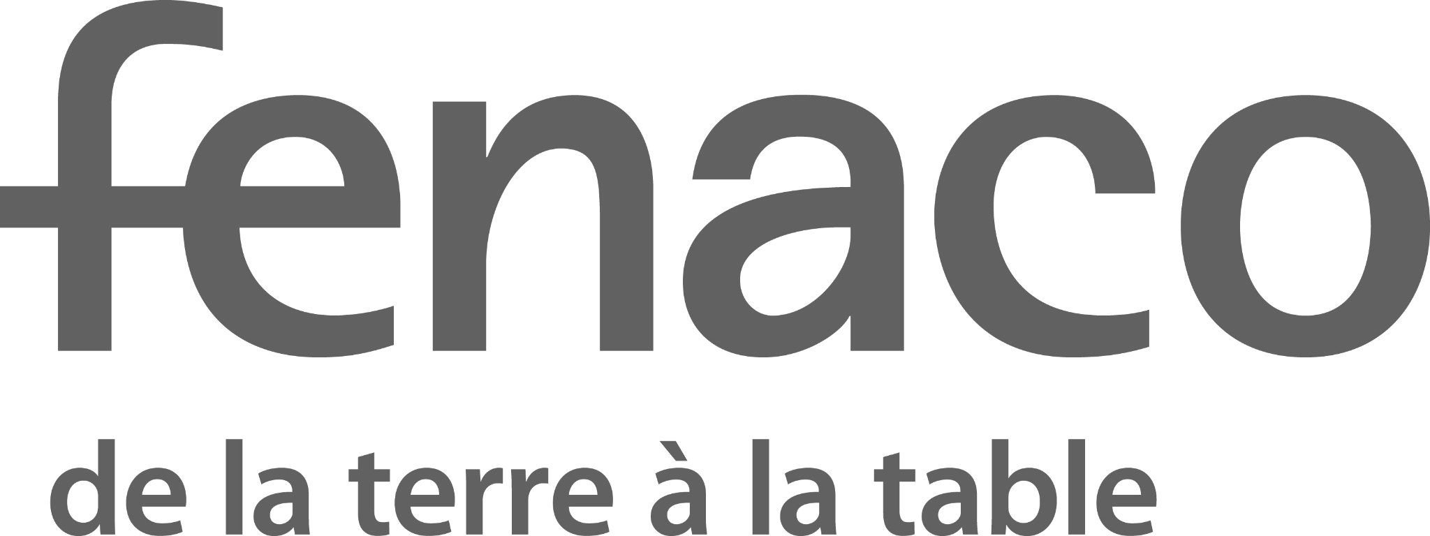 Partner 6